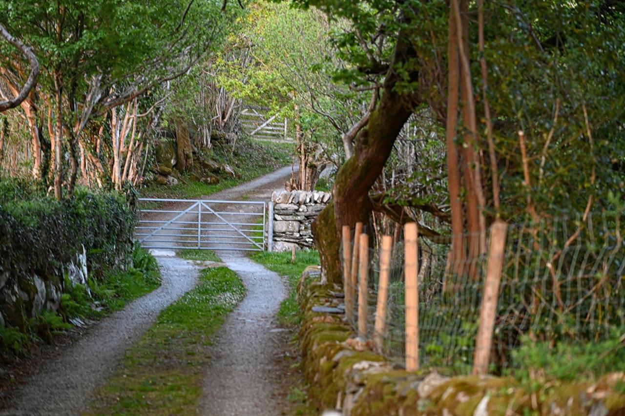 Ty Gwennol Near Gilfach Goch Daire Llanbedr  Dış mekan fotoğraf